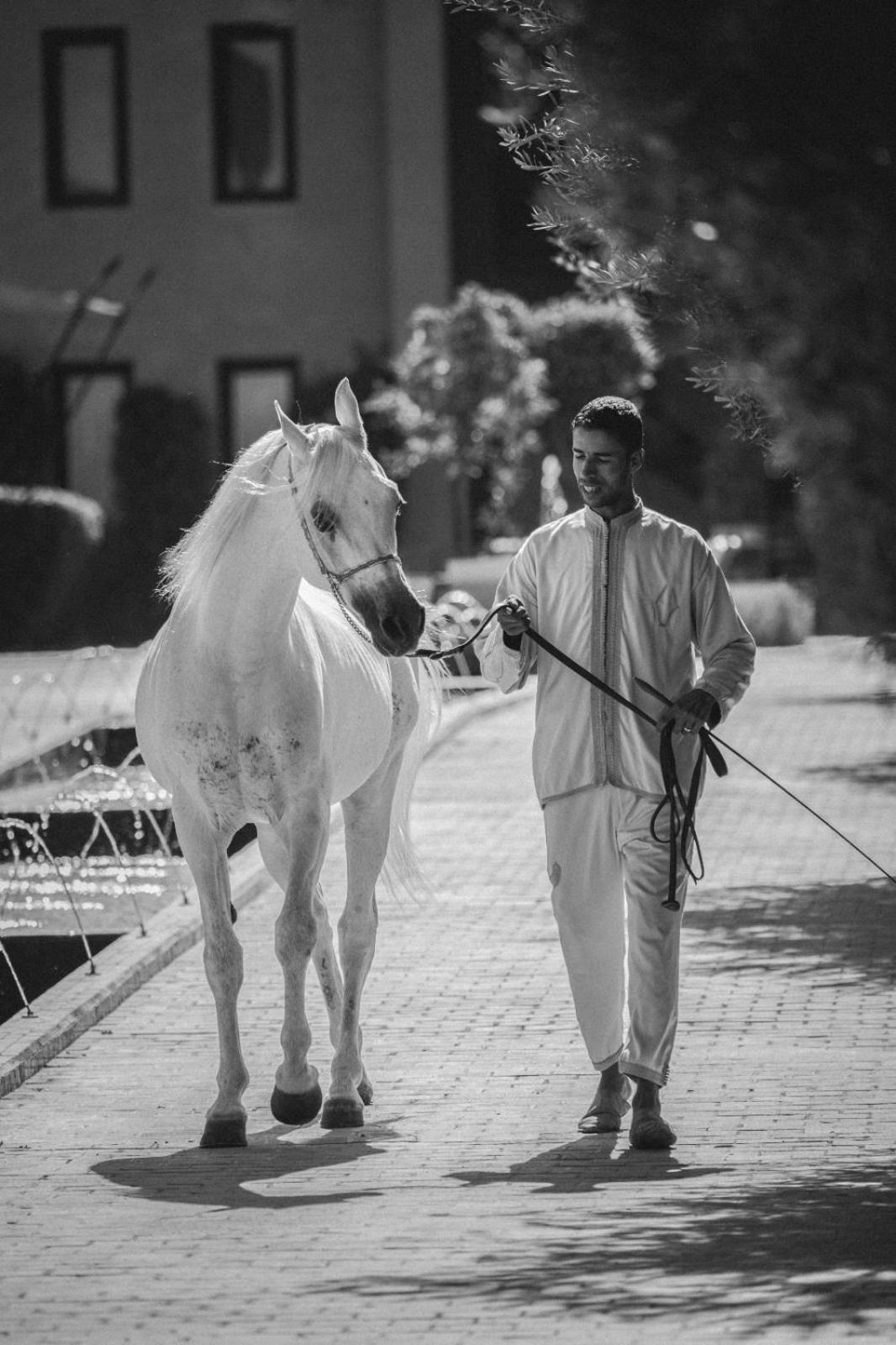 Hotel Selman Marrakech El Makina Exterior foto